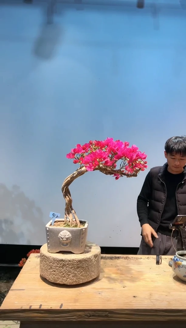 【闪购商品】aa912