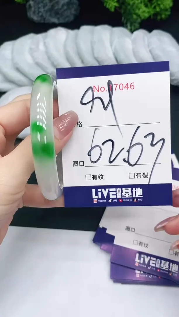 未镶嵌手镯翡翠17046