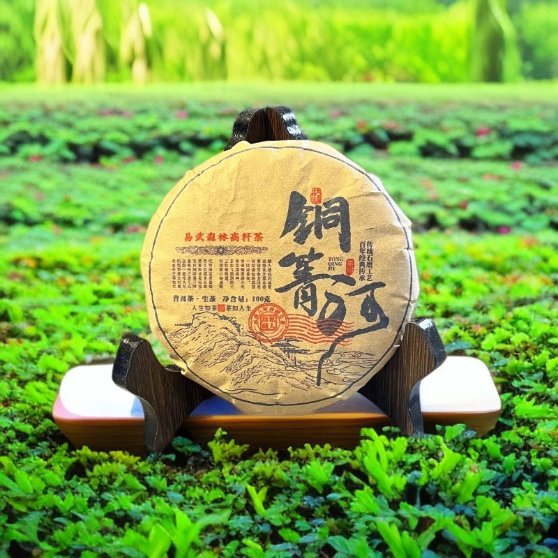 品鉴好茶|2023年铜箐河古树生茶饼100g【中秋送礼】