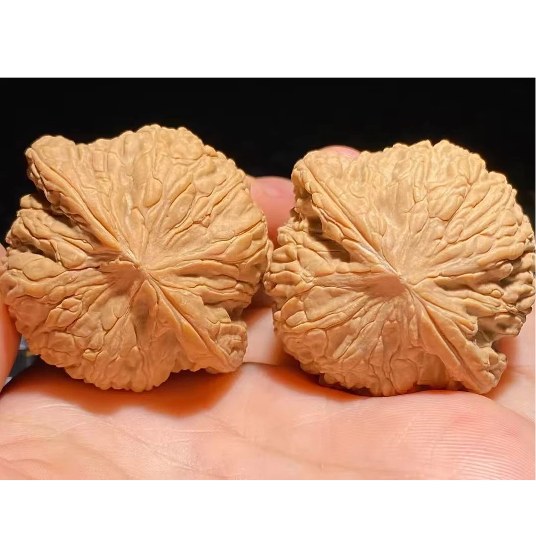 泥鳅背文玩核桃全尺寸 手把玩山地绣球泥鳅背狮子头 太行山麻核桃