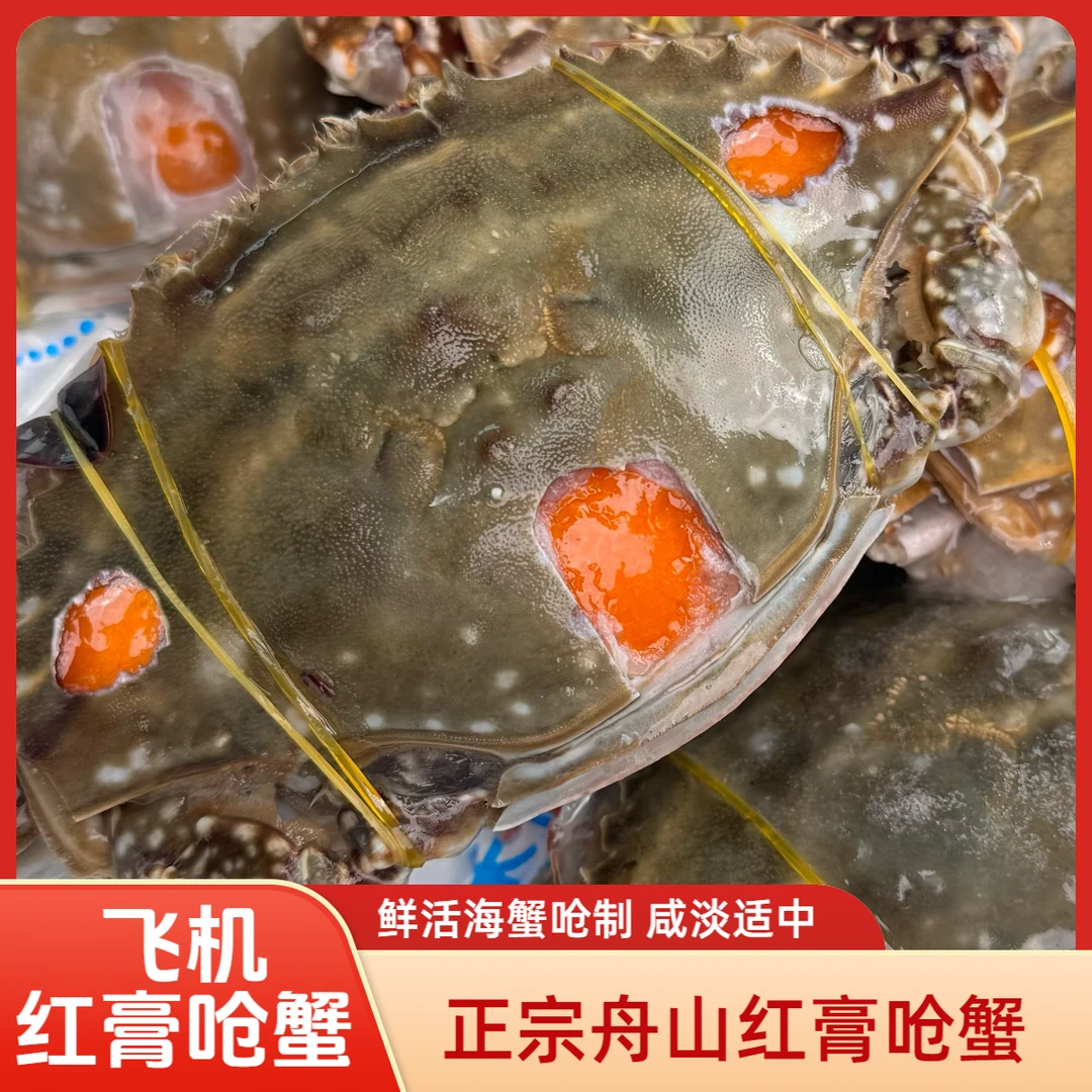 飞机红膏呛蟹6两左右 宁波炝蟹 生腌呛蟹 不能蒸煮