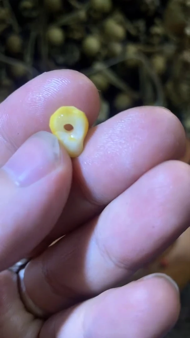 【闪购商品】琥珀颈饰未镶嵌97蜜蜡无相隔珠