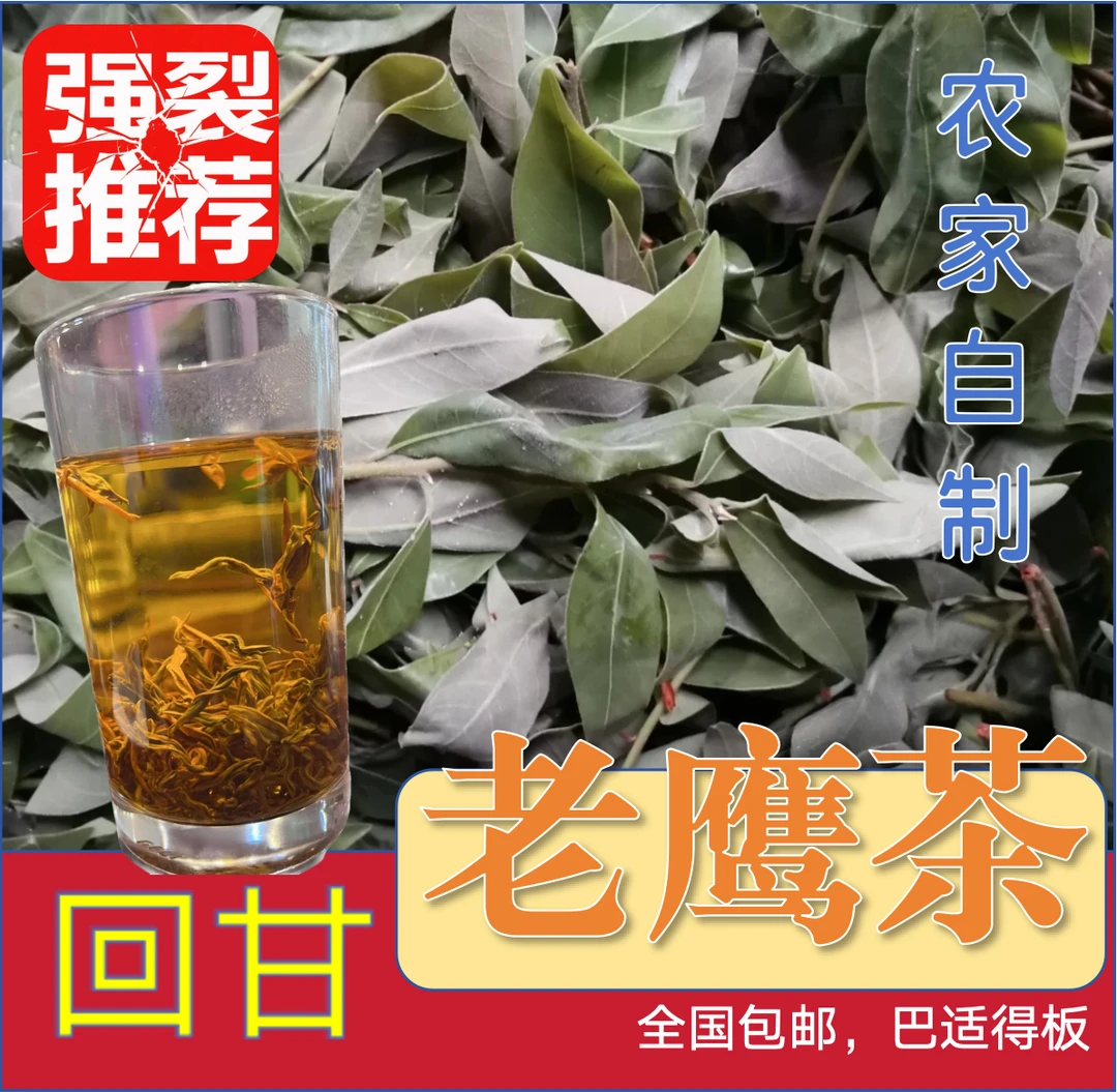 贵州老鹰茶