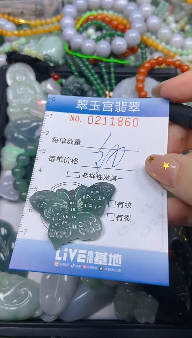 颈饰未镶嵌翡翠闪购C0211860