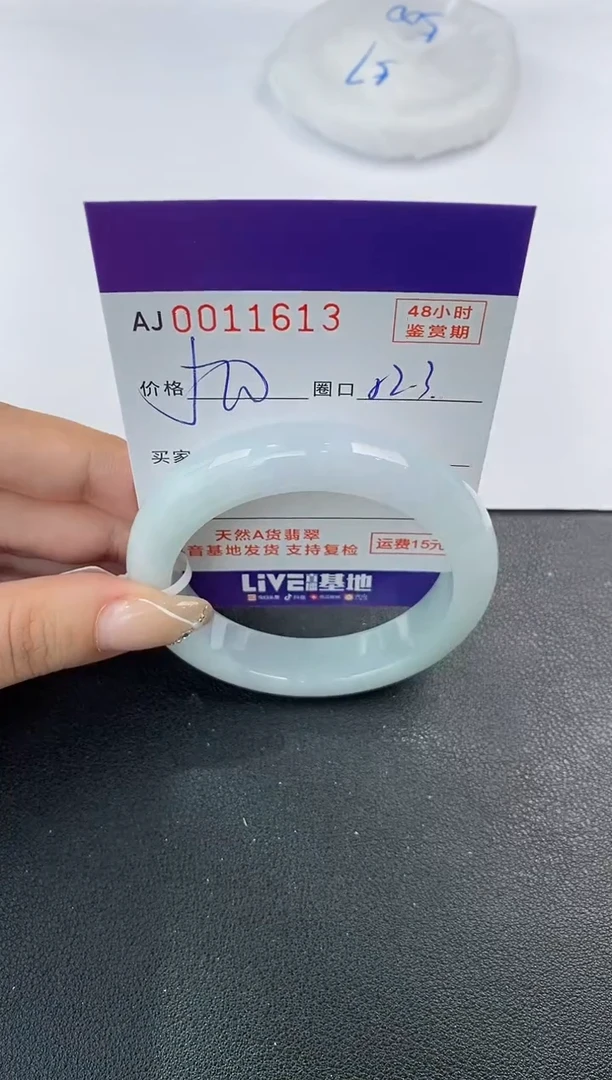 未镶嵌手镯翡翠天然A货翡翠
