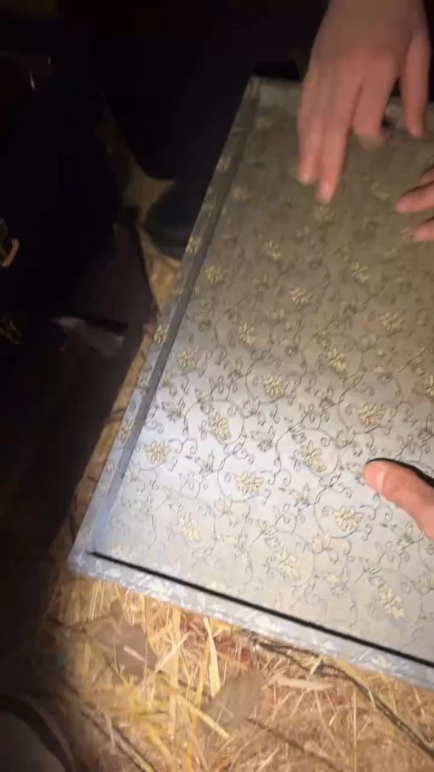 【闪购商品】刺绣闪购商品高端专用链接