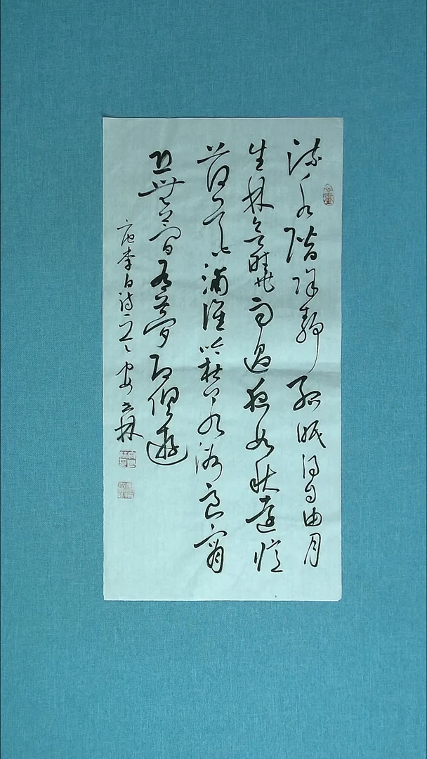 【闪购商品】书法254 甘肃安世林中书协69*34