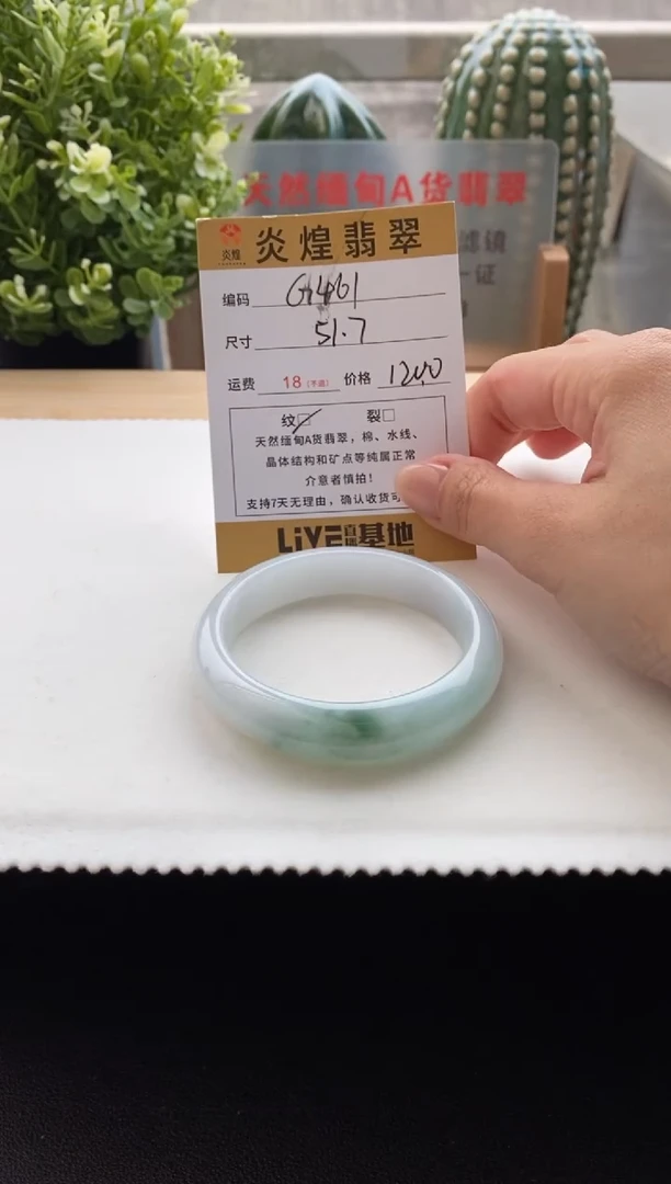 未镶嵌手镯翡翠圈口51.6编码g461