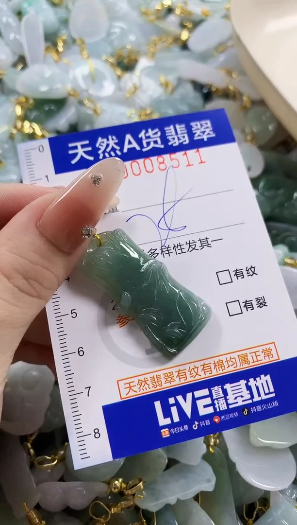 颈饰未镶嵌翡翠天然A货翡翠