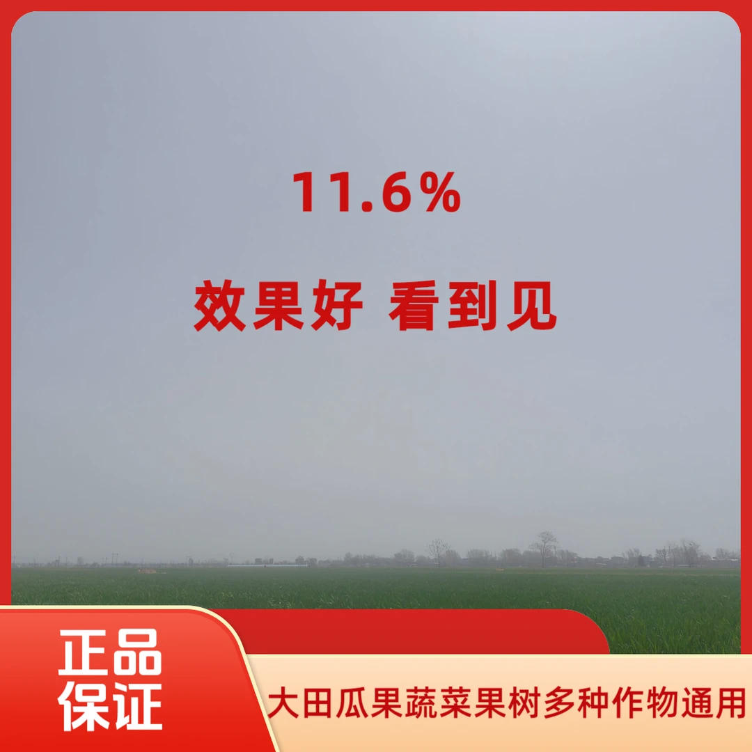 甲唯正品录虫本玉米花生大豆水稻等大田瓜果蔬菜通用有机质叶面肥