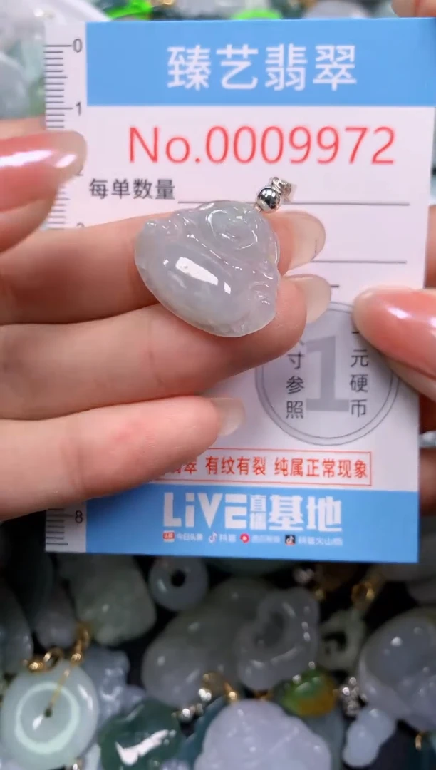 颈饰未镶嵌翡翠9972