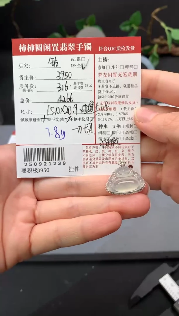 颈饰18K金镶嵌翡翠姐姐250921239