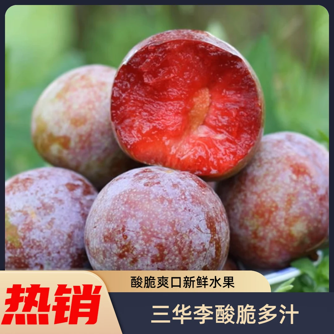云南正宗三华李当季酸甜爽脆新鲜孕妇水果红心李现摘现发产地直销