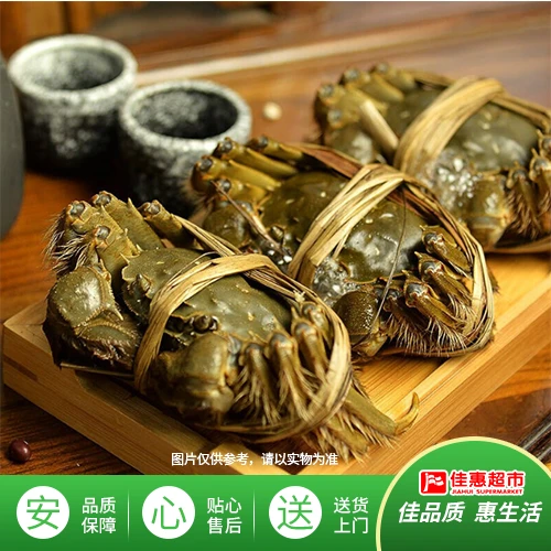大闸母蟹1.8-2.0