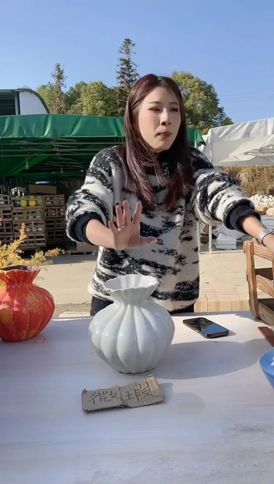 【闪购商品】陶瓷景德镇陶瓷微瑕介意