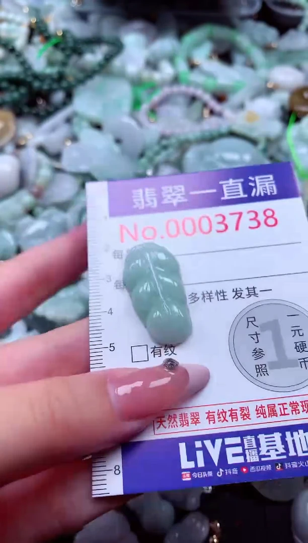 翡翠未镶嵌吊坠(不含链)3738
