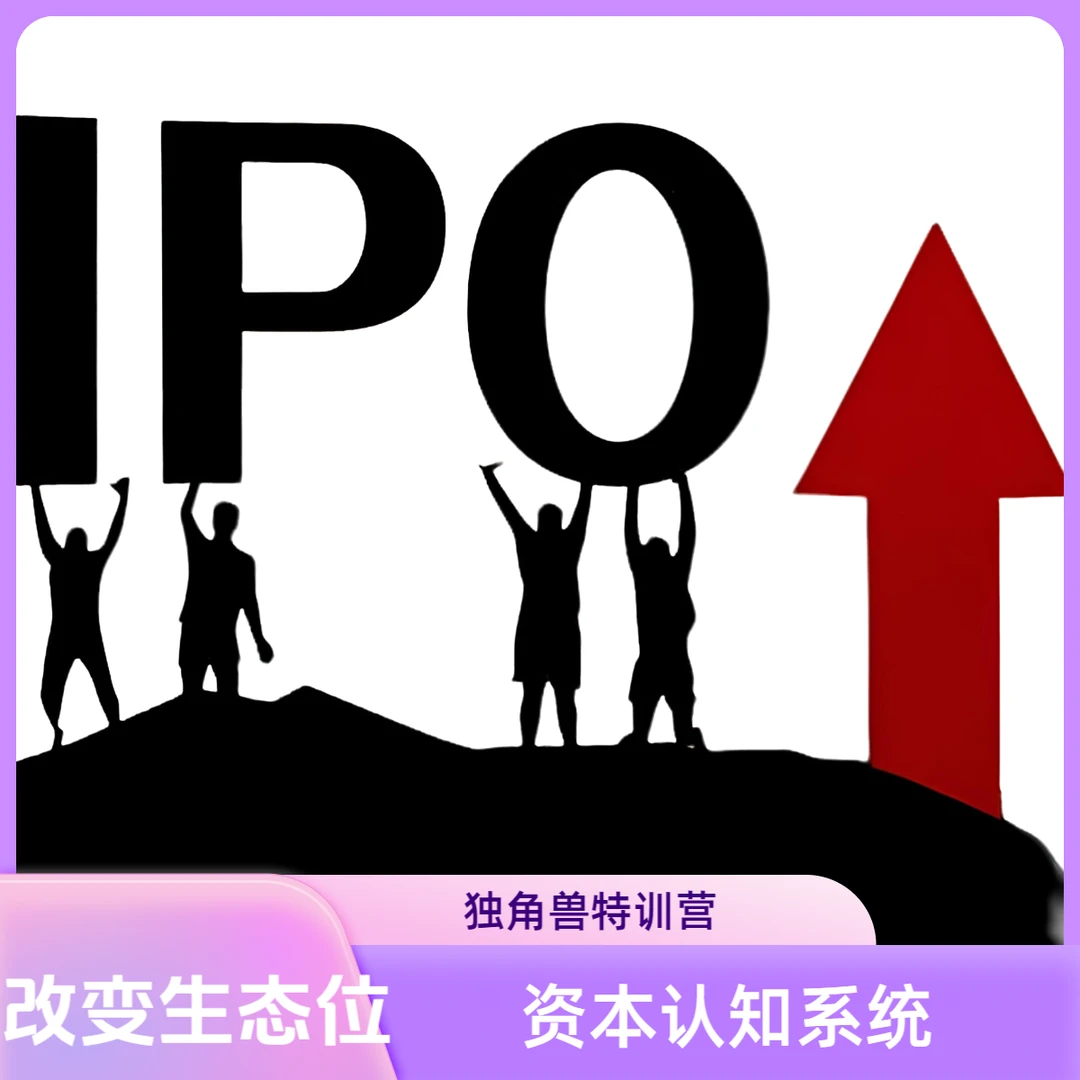 【标准版】资本认知系统&独角兽特训营 仅为学习资本思维