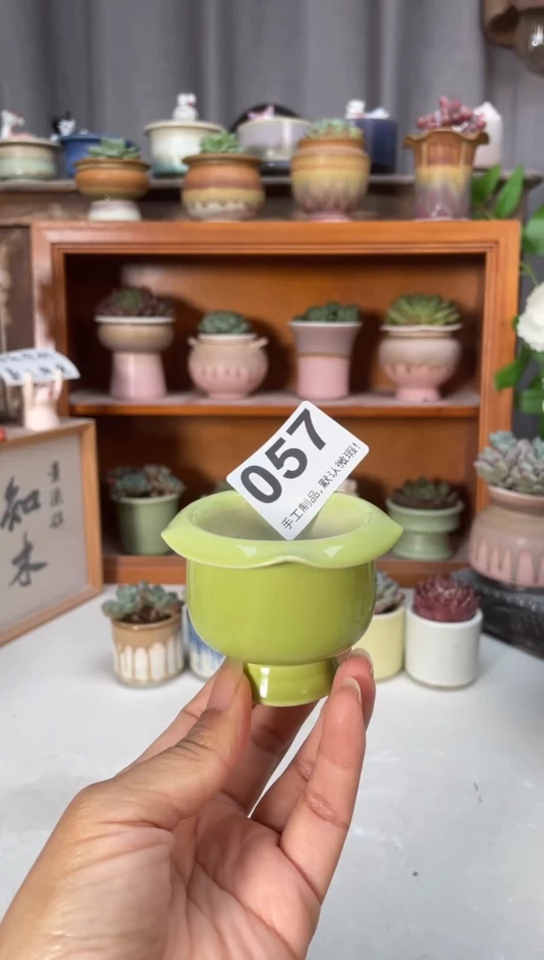 瓷片057小芳直播编号