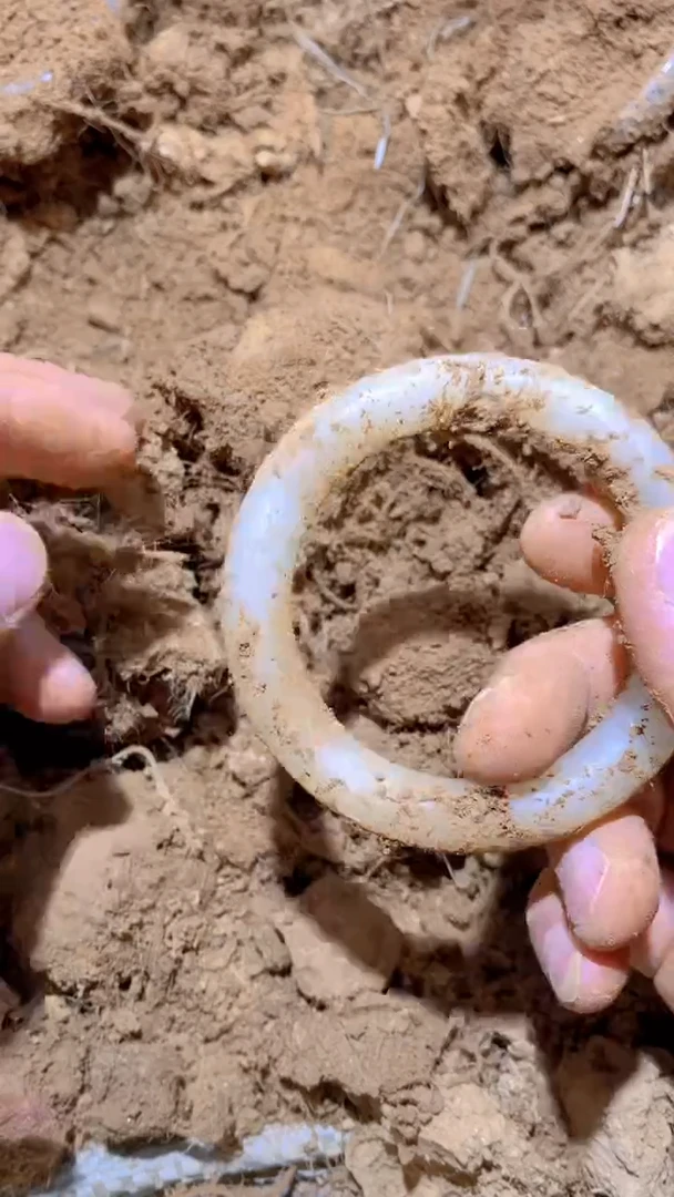 摆件直播精选推荐