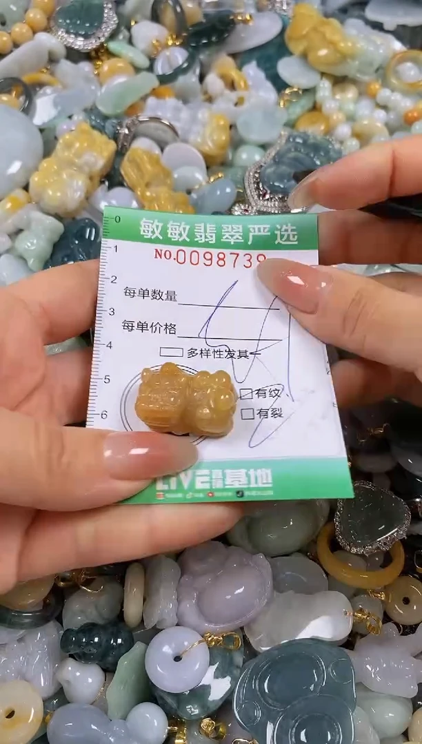 【闪购商品】翡翠颈饰未镶嵌闪购0098739