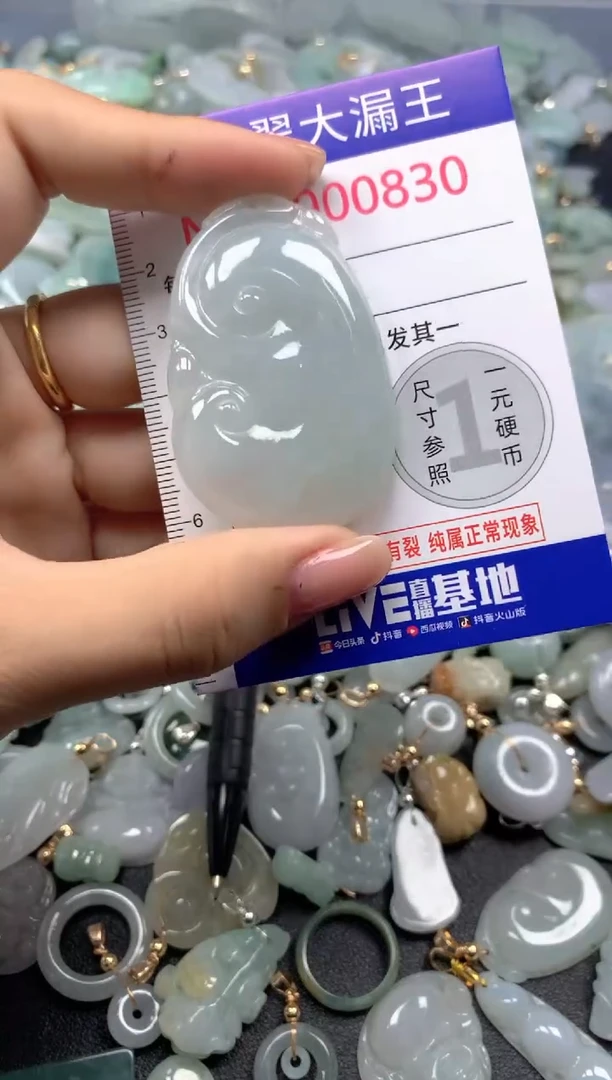 颈饰未镶嵌翡翠830