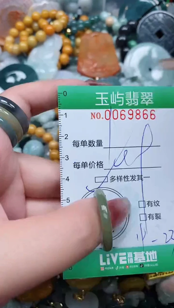 【闪购商品】翡翠颈饰未镶嵌闪购0069866多样性发其一