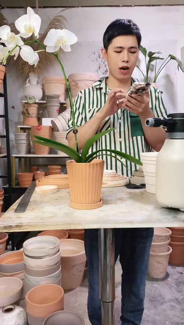 11*13红陶竖纹 1盆1托