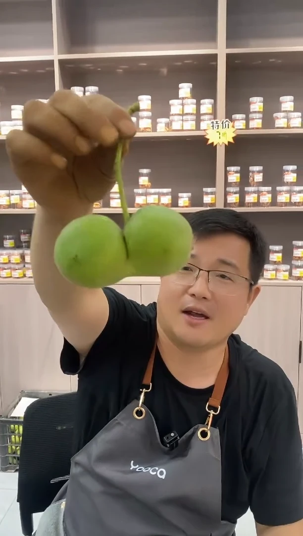 文玩核桃把件【君子协定，不tui不huan！】四座楼新摘异形青皮果装