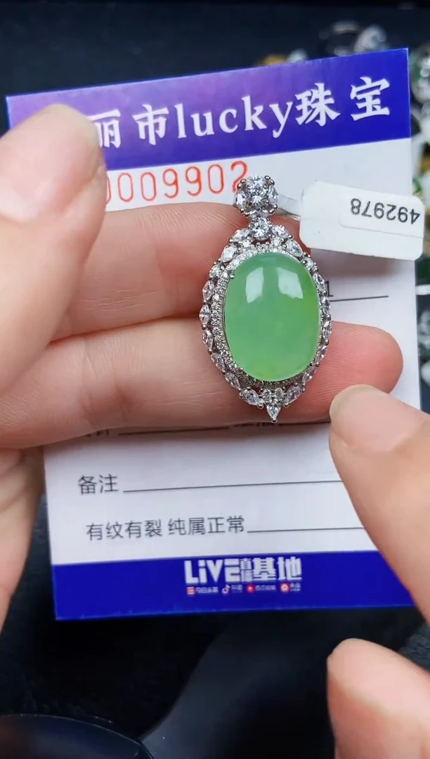 翡翠银S925镶嵌颈饰9902
