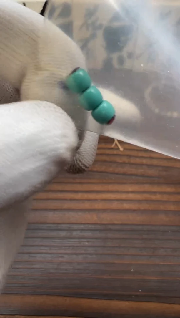 【闪购商品】绿松石12未镶嵌绿松石