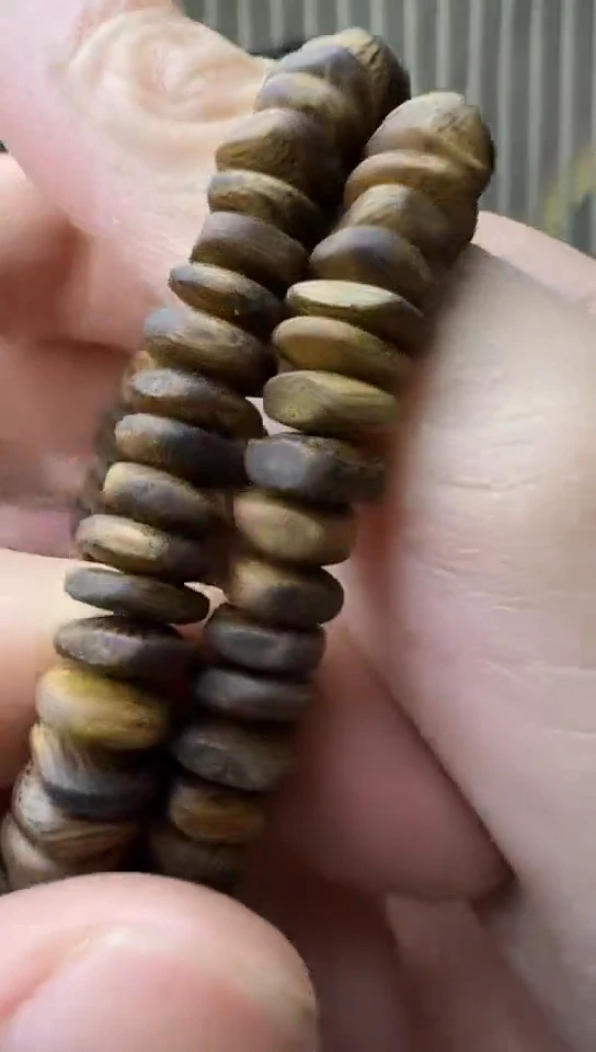 沉香沉香碎屑+NRG