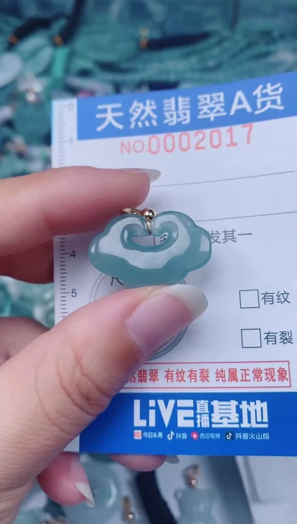 颈饰未镶嵌翡翠00002017