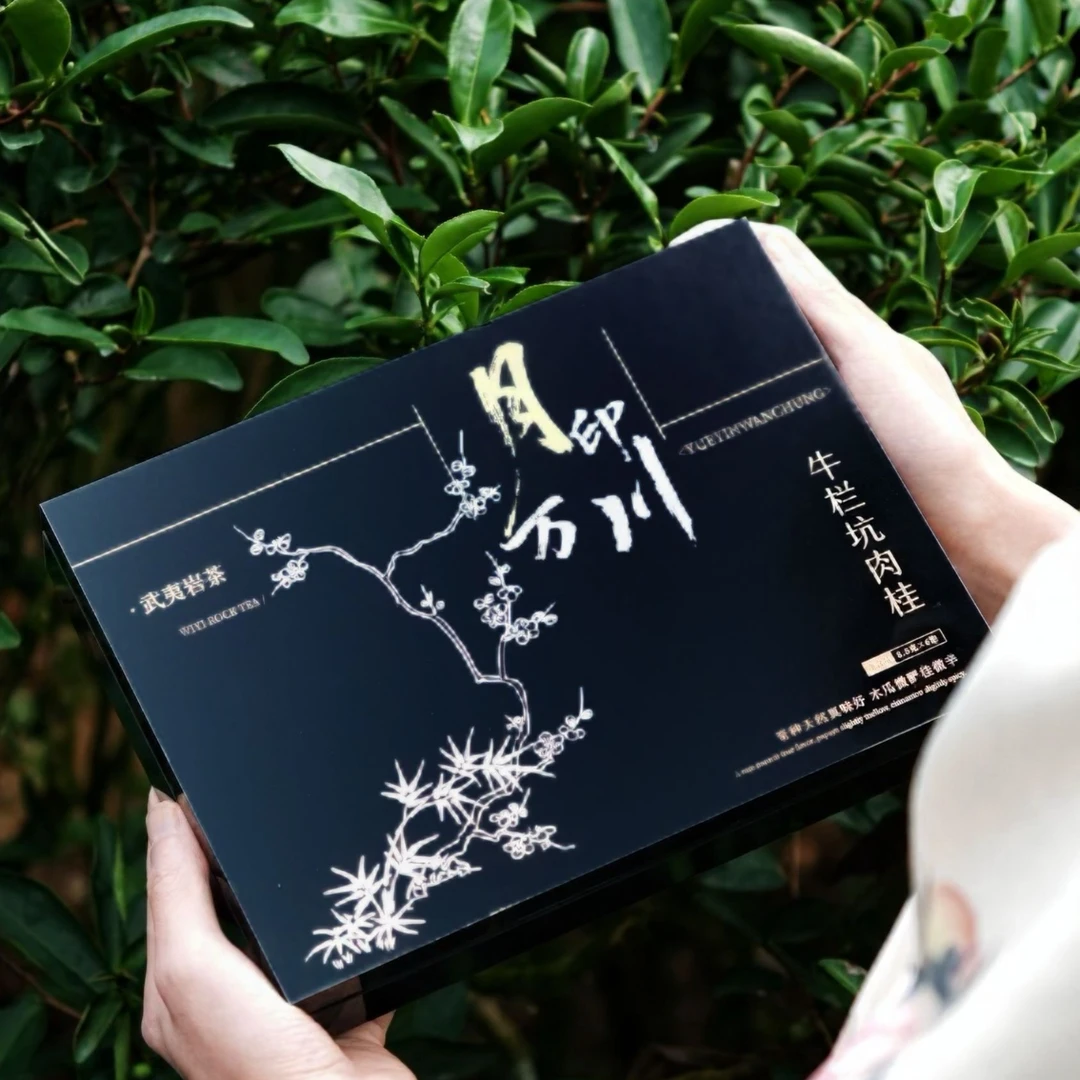 礼盒*月印万川【牛栏坑肉桂】正岩核心肉桂礼盒8.5g×6泡  付费试喝