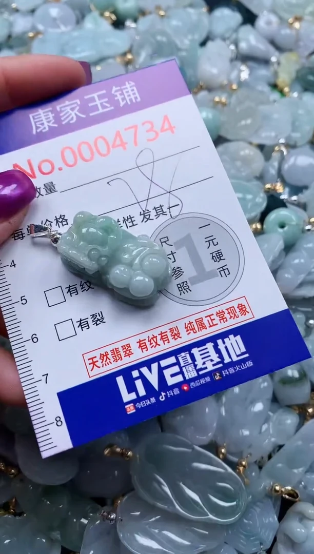 颈饰未镶嵌翡翠4734