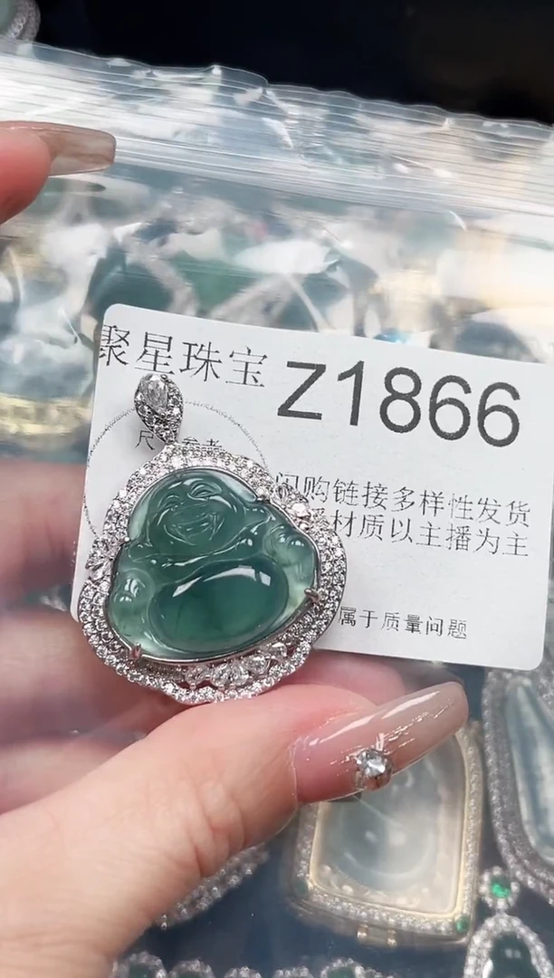 【闪购商品】翡翠颈饰未镶嵌赠皮绳1866