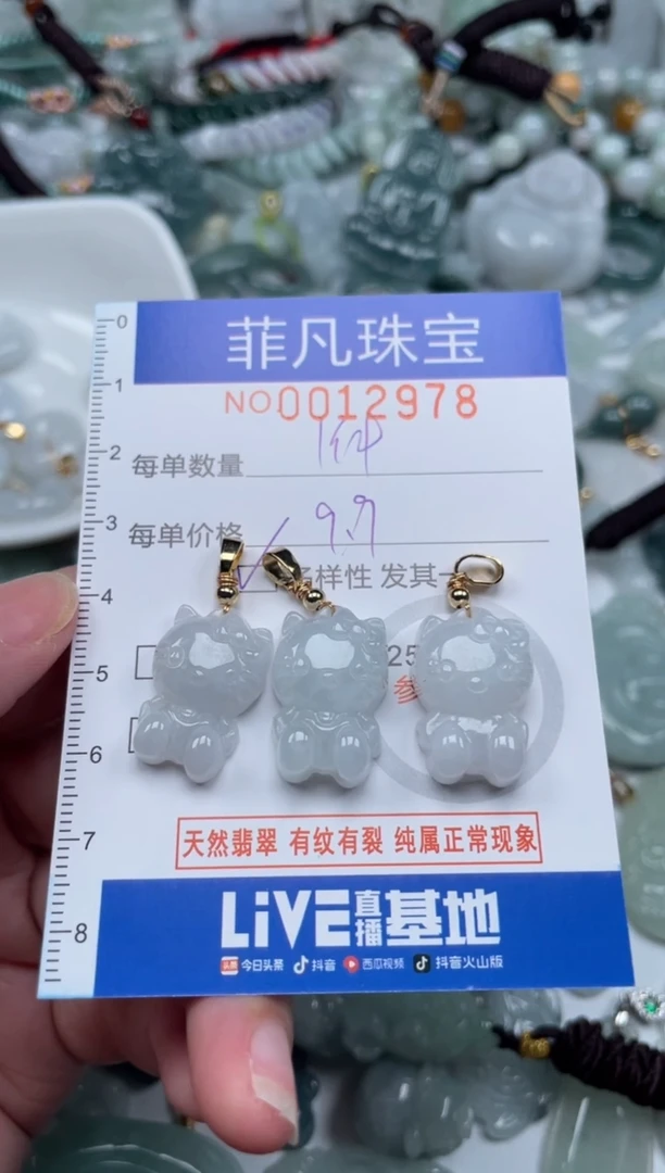 颈饰未镶嵌翡翠12978多样性发其一 拍一单发一件 一件9.9元