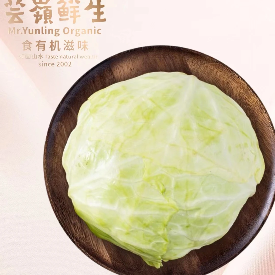 【云南云岭鲜生 有机甘蓝】500g/份甘蓝