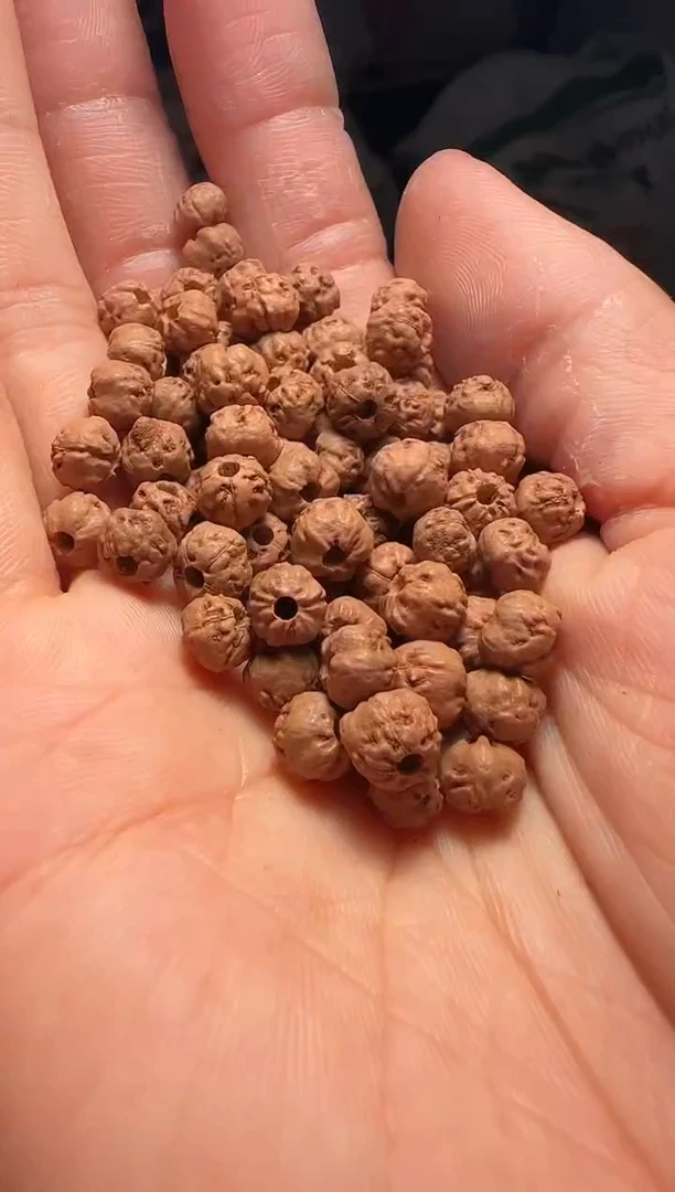 手串金刚菩提非全品原桩佛手散籽6-7mm一份一百颗