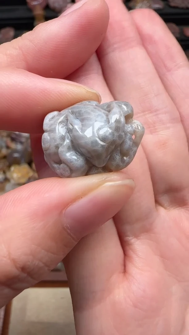 颈饰未镶嵌硅化珊瑚（珊瑚玉）268