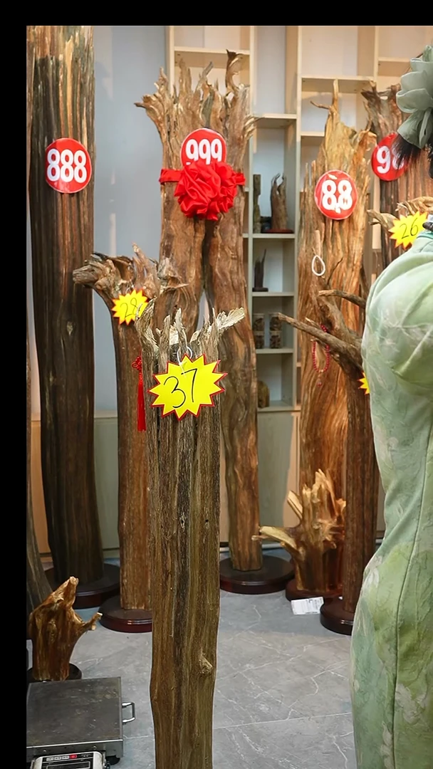 沉香沉香碎屑龙***A1380