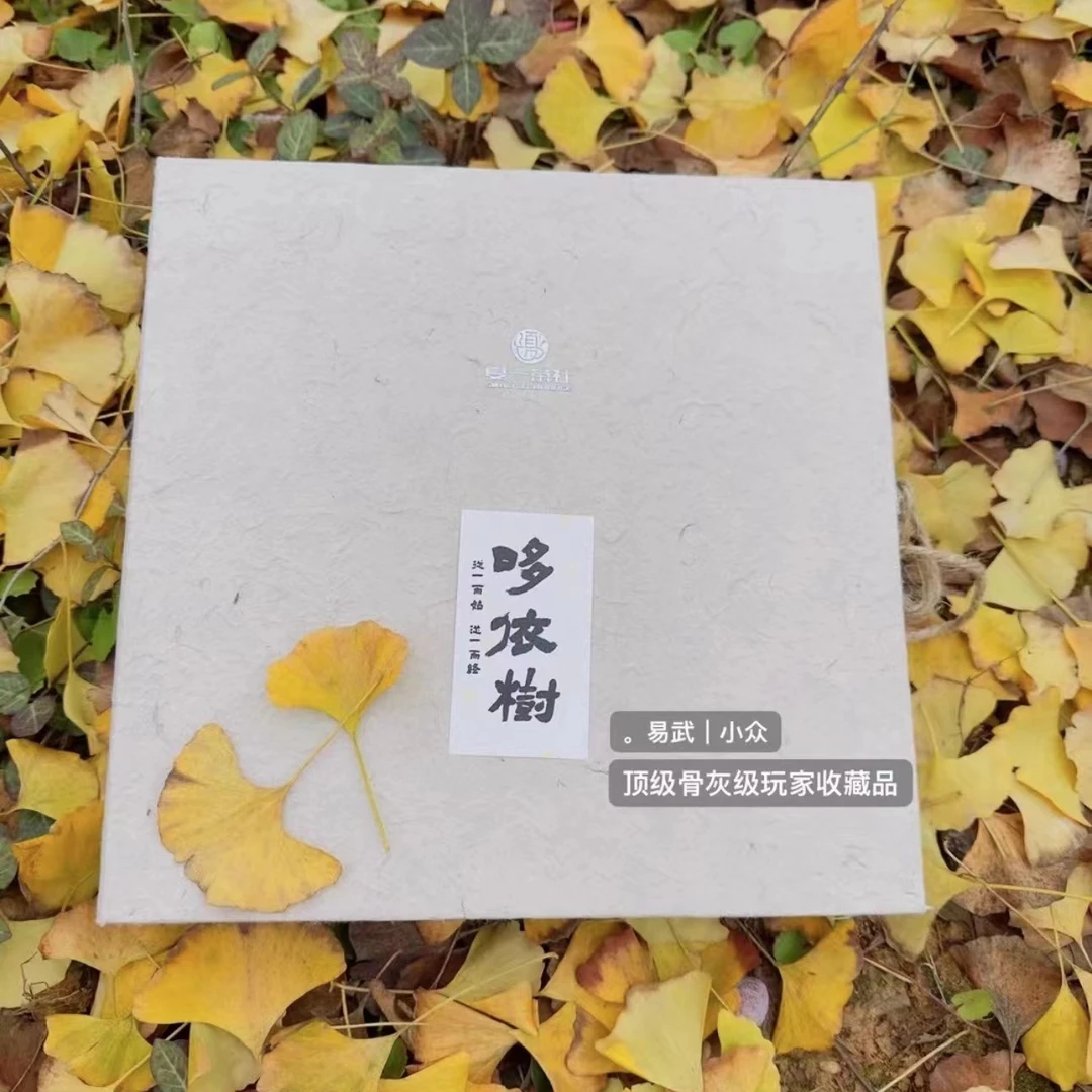 夏一茶社.哆依树 | 易武茶区 小众茶 200g