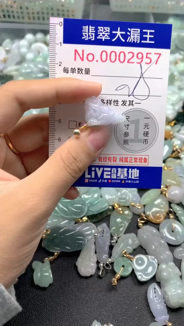 颈饰未镶嵌翡翠2957
