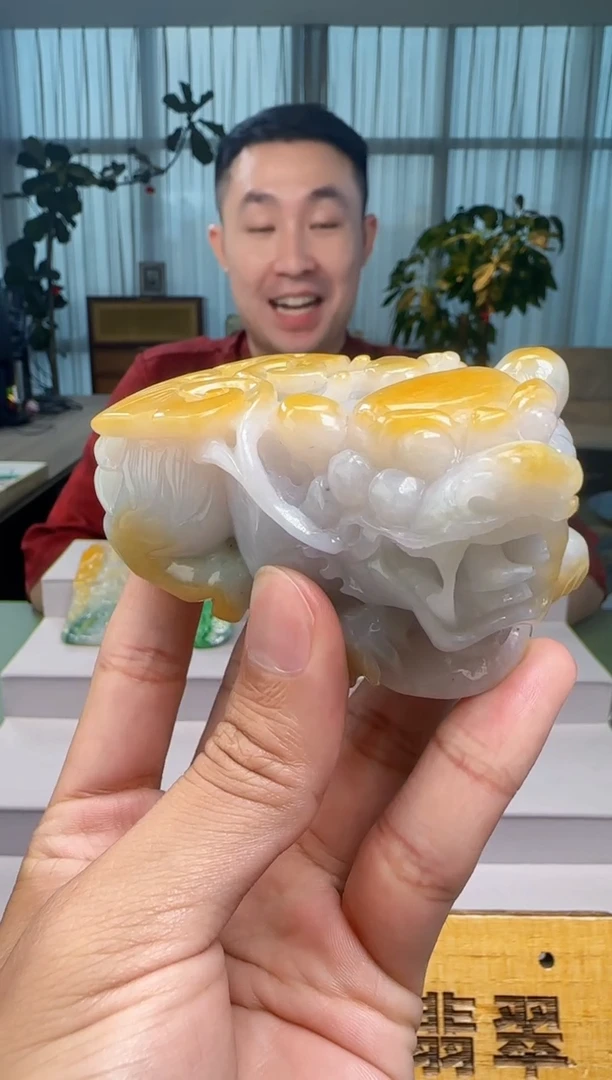 颈饰未镶嵌翡翠用****9616165