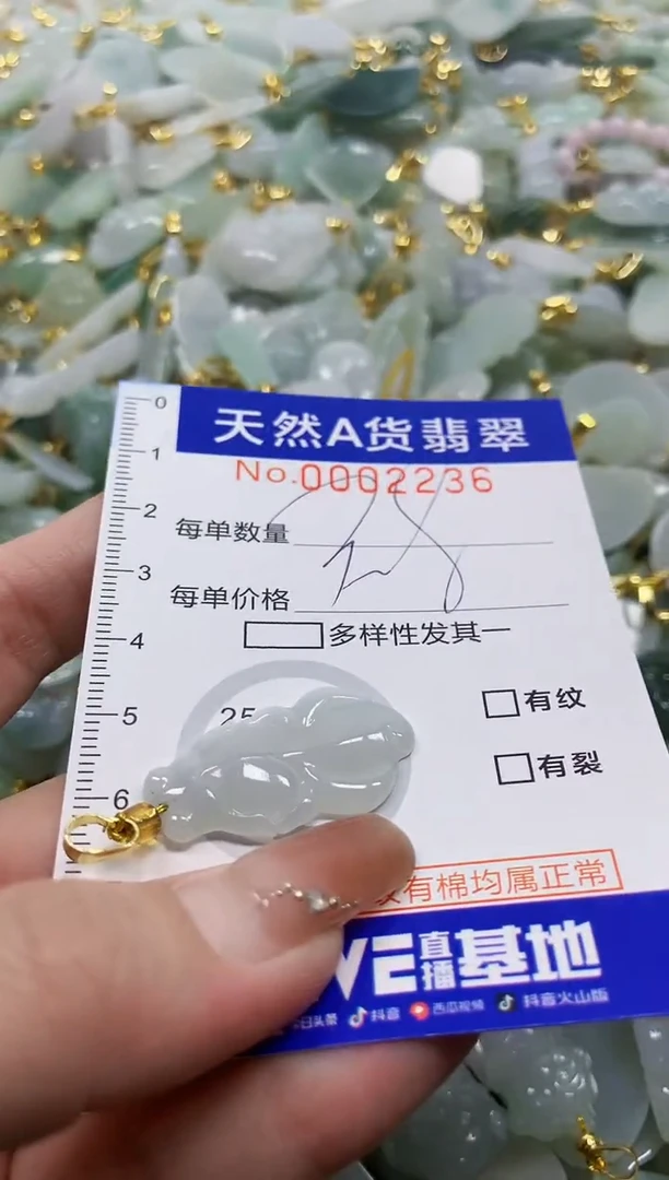 颈饰未镶嵌翡翠天然A货翡翠