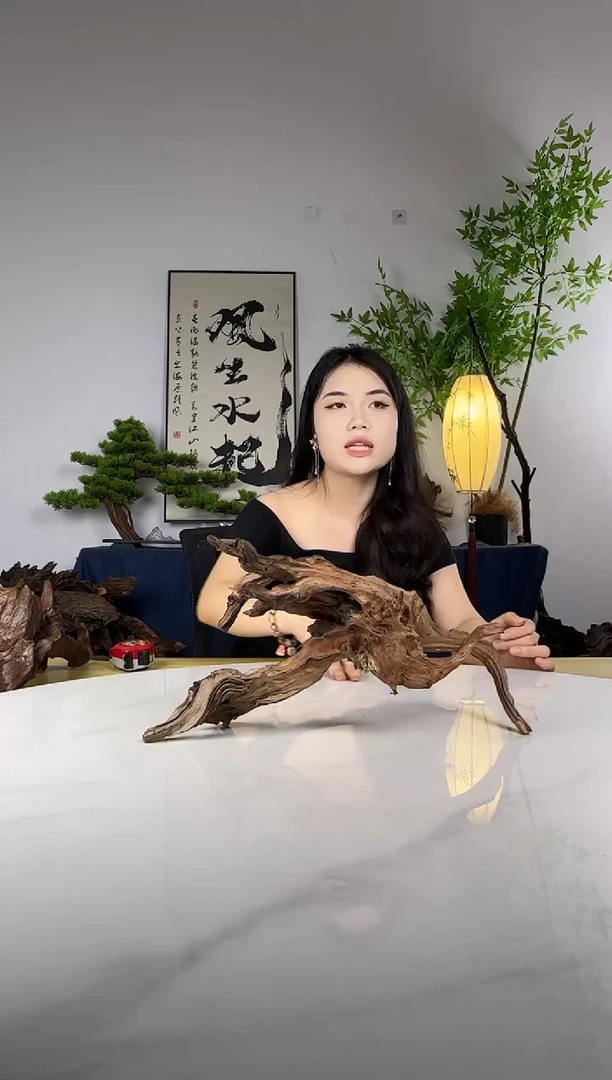 ?****六拍这个定向编号47