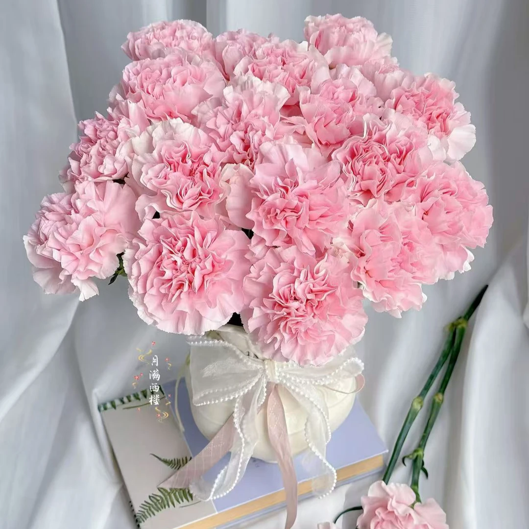 【花鲜丰】粉色康乃馨母亲节福利鲜花次日达家居装饰花瓶插花