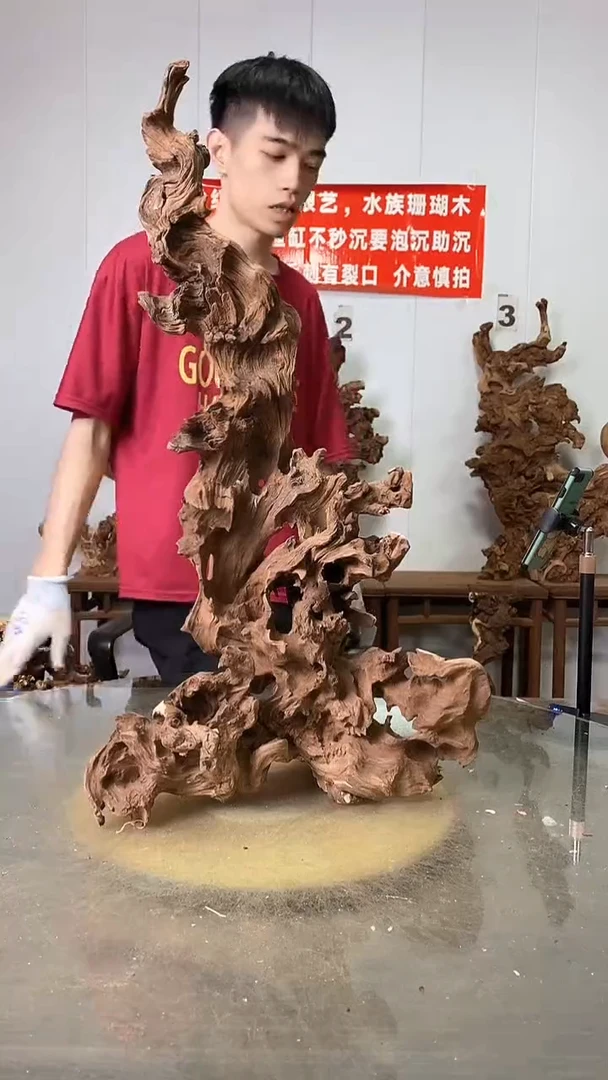 香榧木金丝红木 羊蹄甲