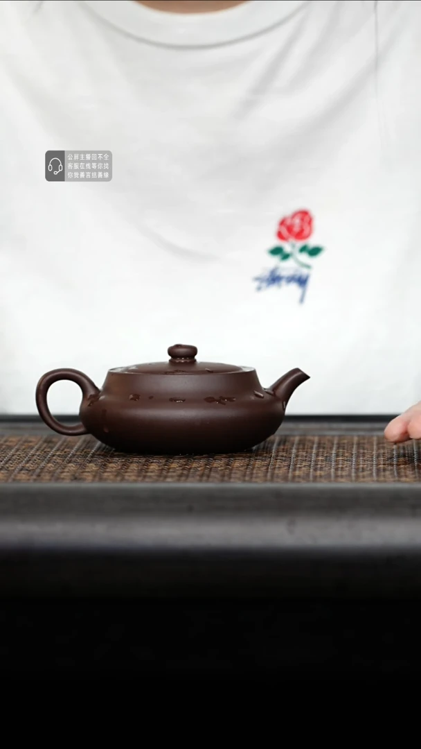 茶壶紫砂紫砂茶壶桑盘