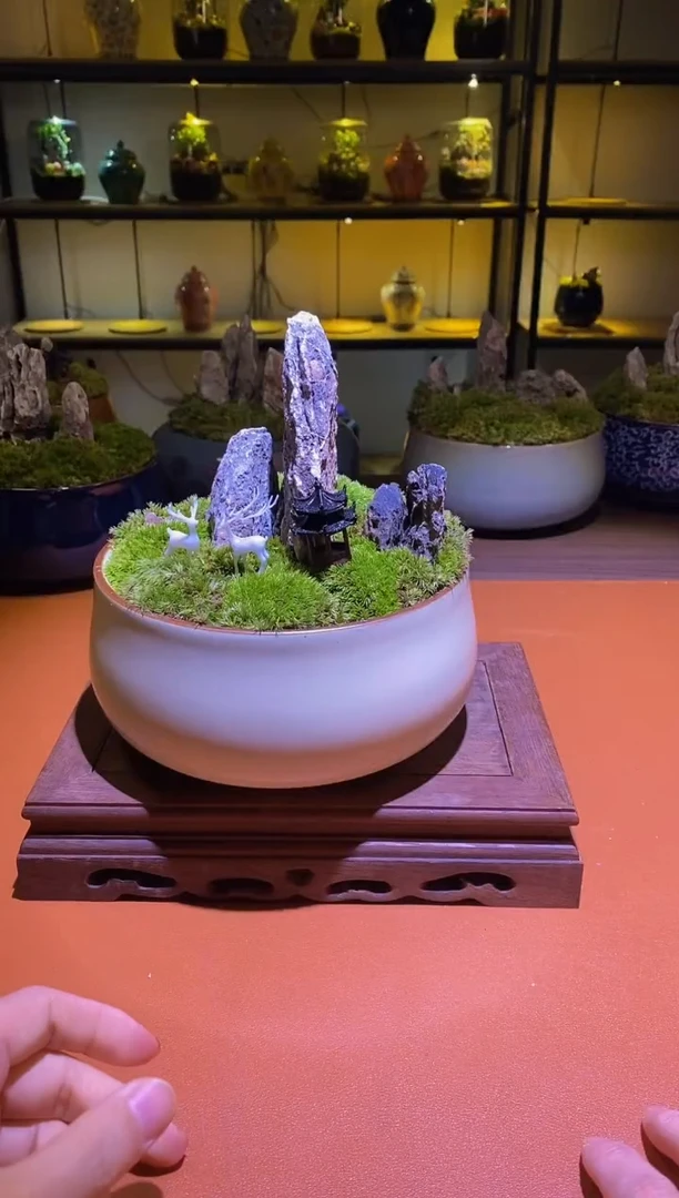 吉鑫福利精选福力
