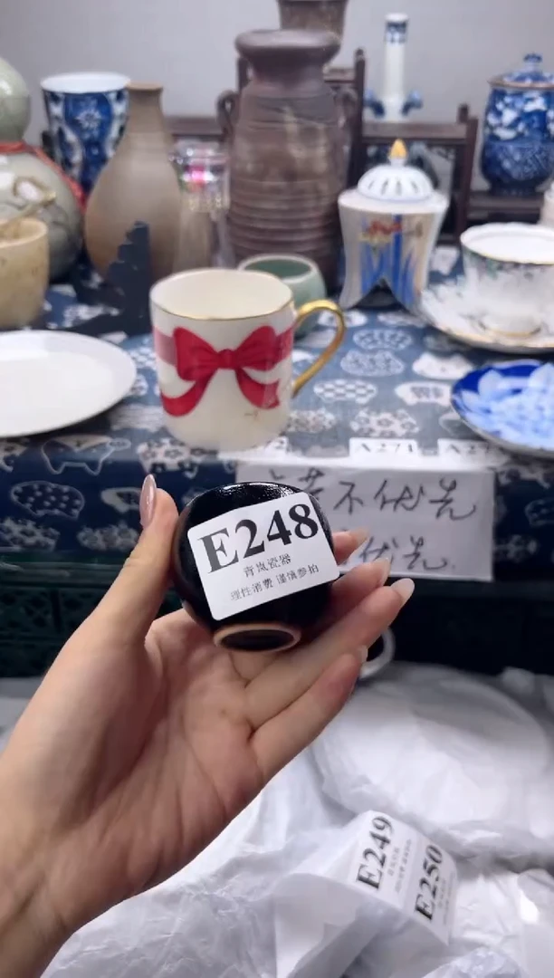 瓷片後*    E248